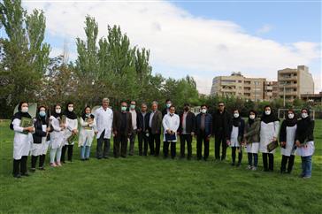 مراسم تجلیل از همکاران روانشناسی