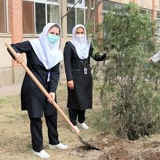 گرامی داشت روز درختکاری