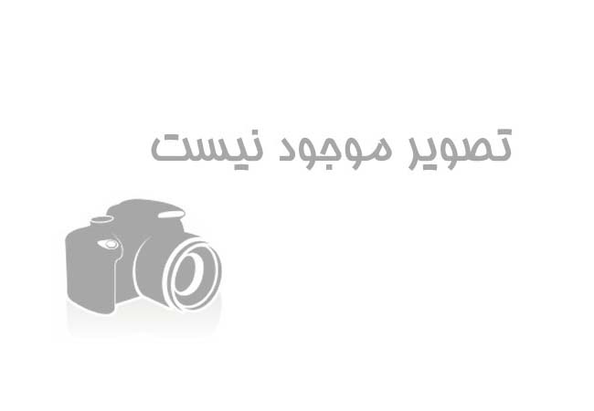 دی ماه
